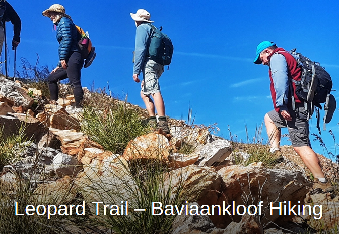 Garden Route Trail provides a great guide to walking the Leopard Trail