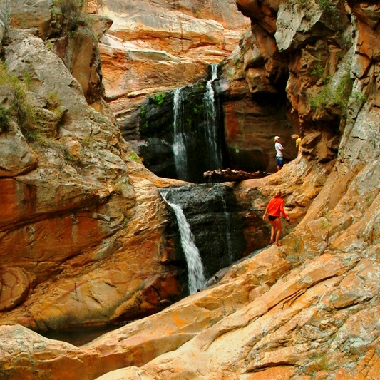 The Cedar Falls Day Hike