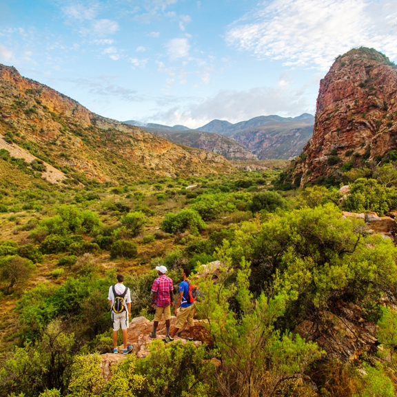 Viewpoint on the Leopard Trail hike